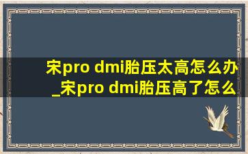 宋pro dmi胎压太高怎么办_宋pro dmi胎压高了怎么降低